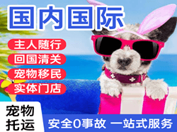 满洲里空运地址国际宠物托运 【国